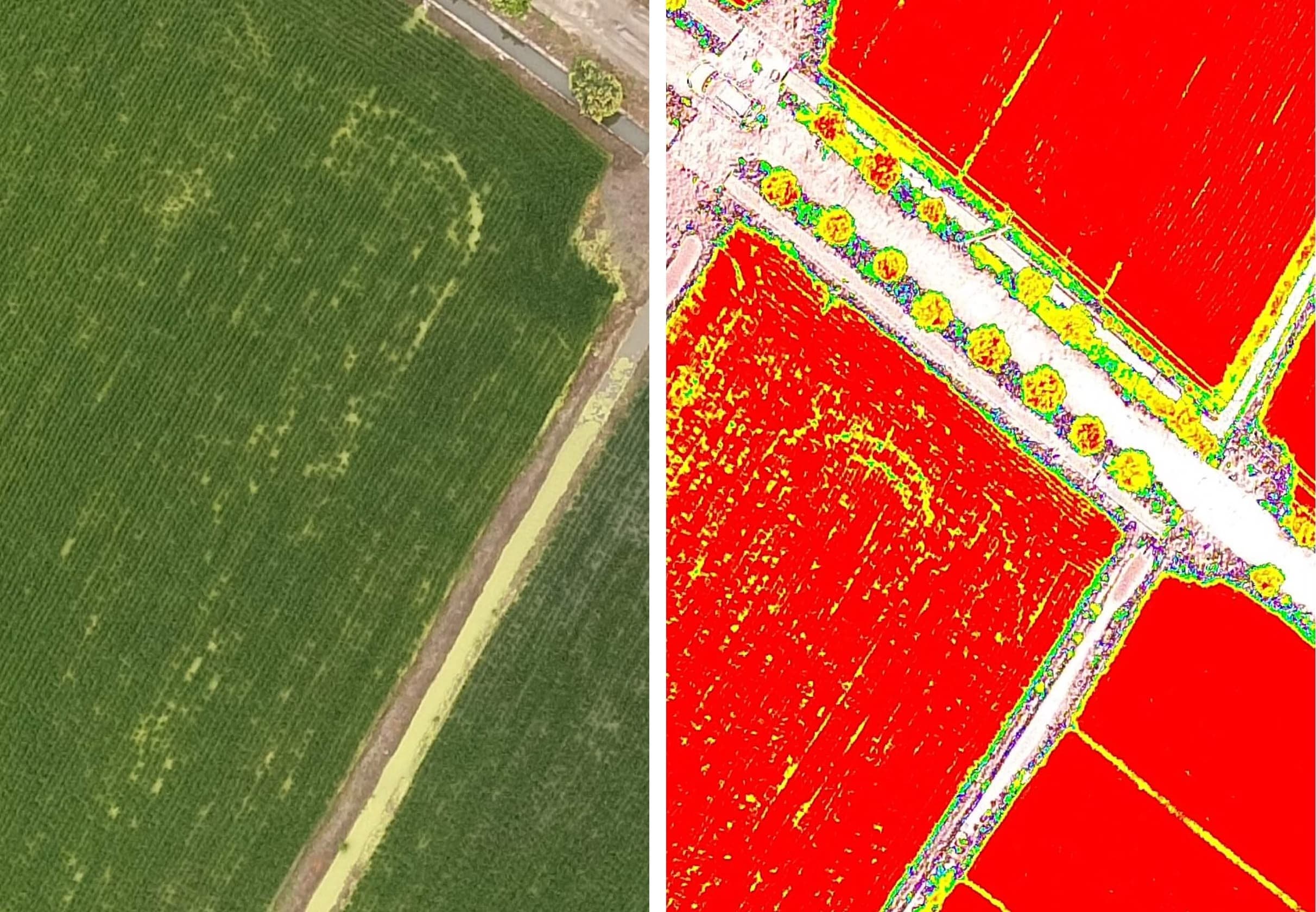 Strategic partnership consulting