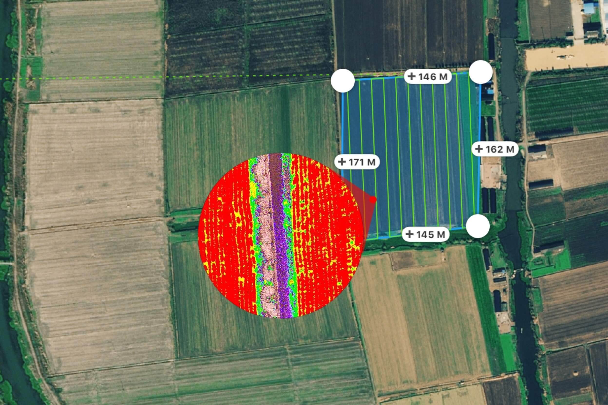 Expert consultation services